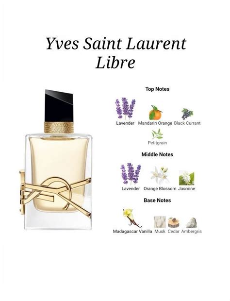 y yves saint laurent note|ysl y parfum notes.